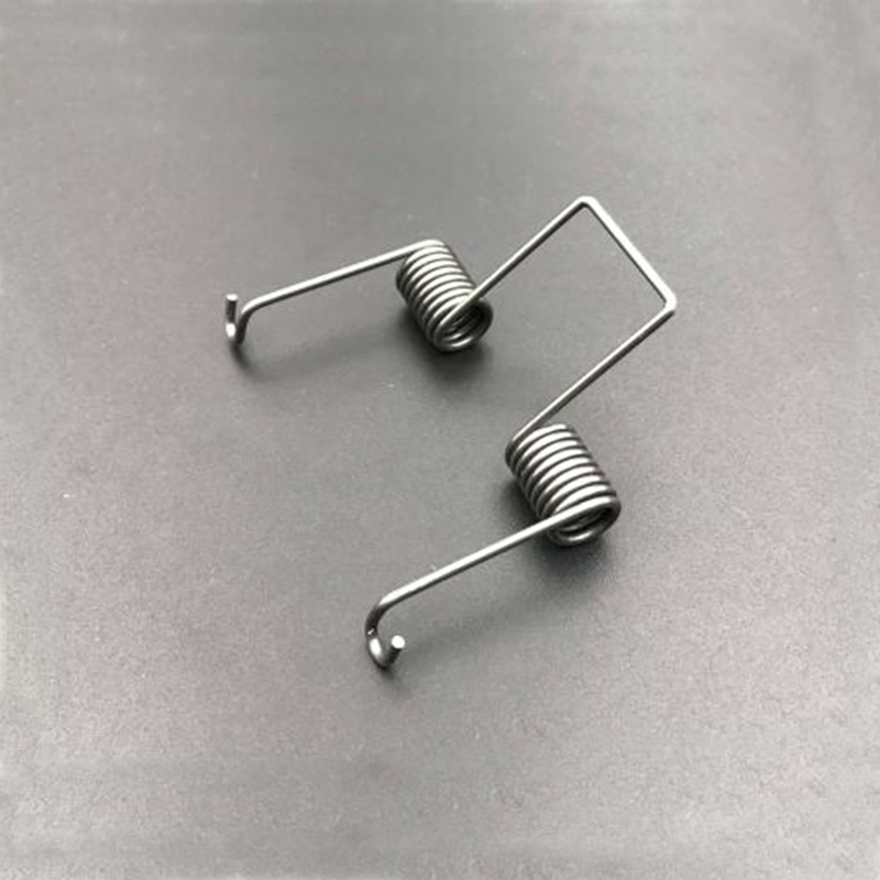 Torsion spring